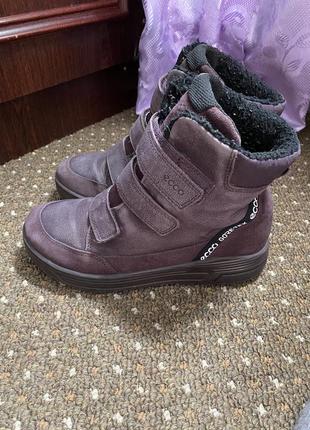 Ботинки ecco gore-tex