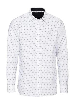 Livergy - s,  m-l,  l-xl - є 3 розміри - біла і блакитна сорочка чоловіча (бренд з німеччини)