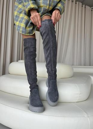 Женские замшевые сапоги ботфорты