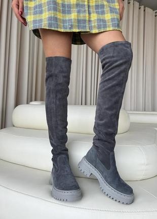 Женские замшевые сапоги ботфорты