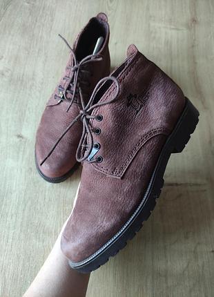 Фирменные женские кожаные ботинки panama jack, испания, р.36.