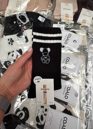 Шкарпетки носки високі в рубчик молочні чорні бежеві коричневі в стилі гуччі gucci однотонні з ведмедиком