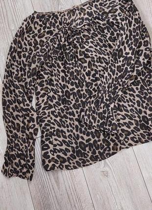 Блуза рубашка леопардова