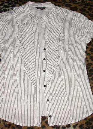 Красивая блуза для офиса, размер 48-501 фото