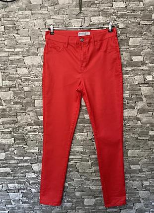 Брюки, штаны, лосины