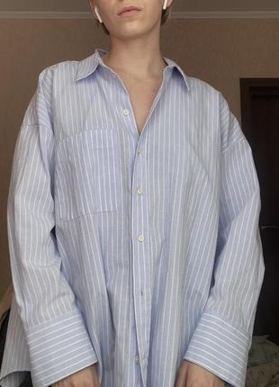 Голубая рубашка в полоску zara🦋