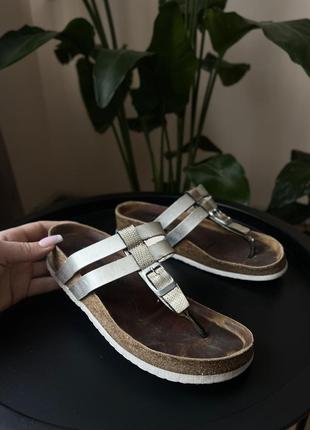 Шльопанці, шльопки birkenstock2 фото