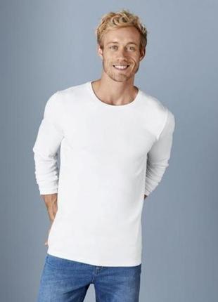 Мужской базовый реглан размер 56-58 livergy нитевичка