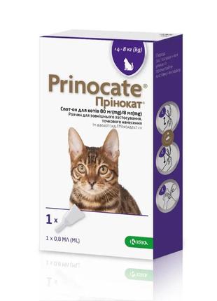 Краплі prinocate spot-on для котів від бліх і кліщів на вагу 4-8 кг 0.8 мл/1 піпетка (3838989720728)