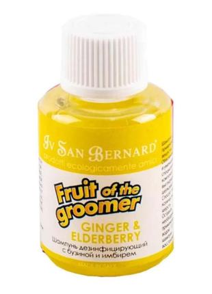 Шампунь iv san bernard ginger and elderberry дезінфікуючий з бузиною та імбирем 30 мл