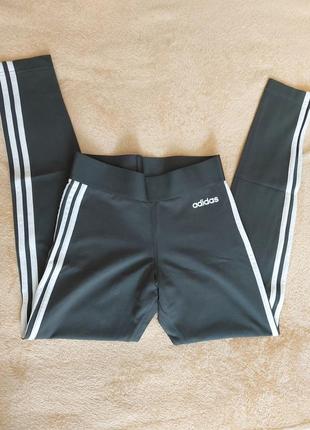 Лосіни жіночі adidas
