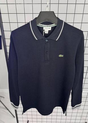 Мужской стильный свитшот с воротничком lacoste