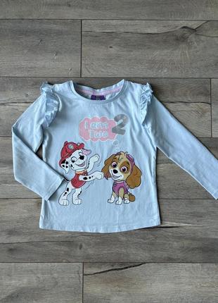 Реглан кофта paw patrol