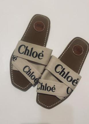 Шлепки chloe оригинал