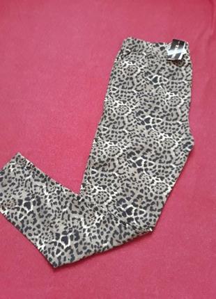 Штаны женские, лосины