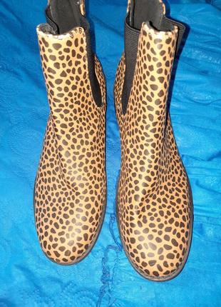 Черевики моnki 2