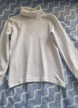 Водолазка, гольфик, светр