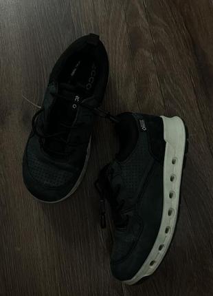 Черевики ecco
