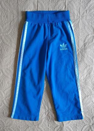 Спортивні штани