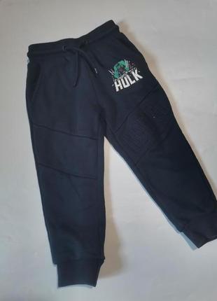 Утеплені спортивні штани hulk