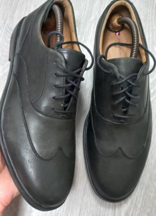 Шкіряні чоловічі туфлі clarks