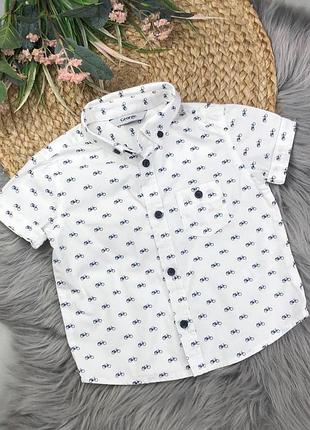 Теніска 1-1,5 р.