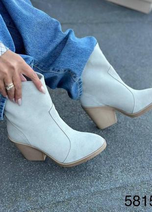 Козаки ботильоны замша8 фото