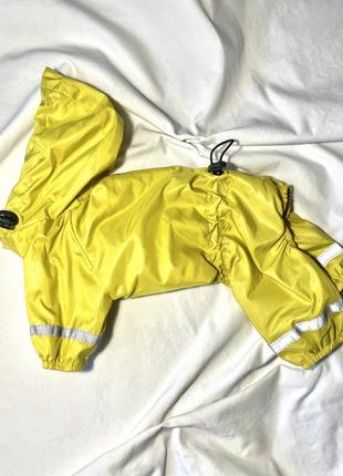 Дощовик для собак