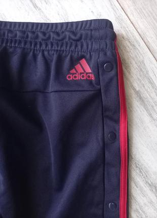 Спортивные штаны adidas на заклепки6 фото