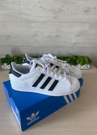 Кроссовки adidas superstar
