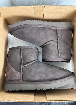 ❄️ стильні жіночі зимові ugg classic mini chocolate уги уггі угги угі / зимове жіноче взуття якісне  / женские зимние натуральные