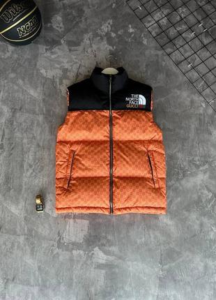 Жилетка tnf & gucci