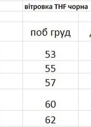 Вітровка the north face 700 чорна4 фото