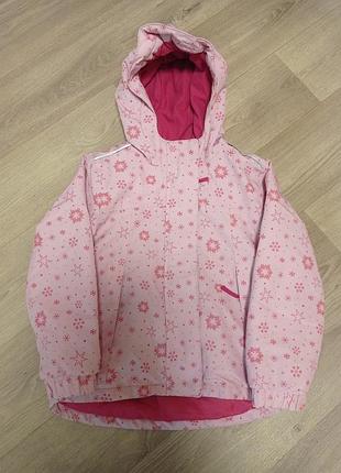 Курика на весну