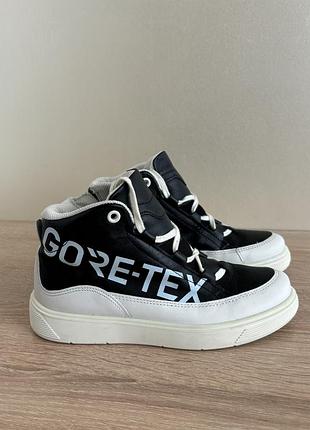 Черевики ecco