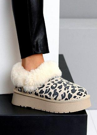 Стильні жіночі зимові уггі