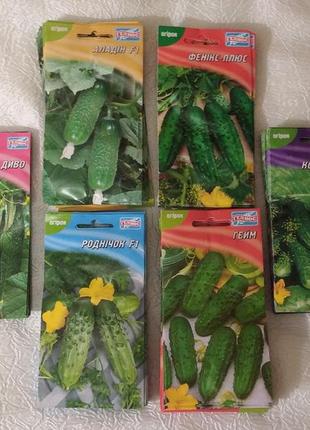 Семена огурцов