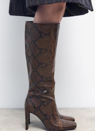 Красивые ботинки на каблуке