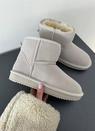 Жіночі чоботи ugg mini milk suede