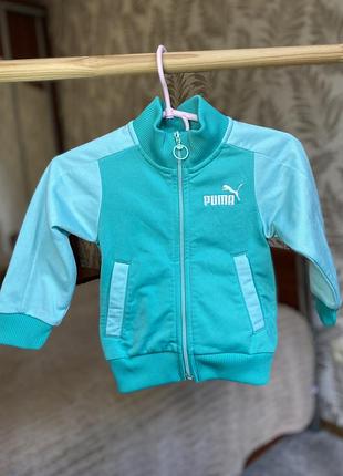 Оригинал puma