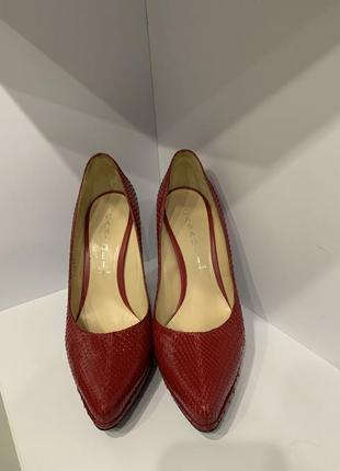 Туфлі casadei