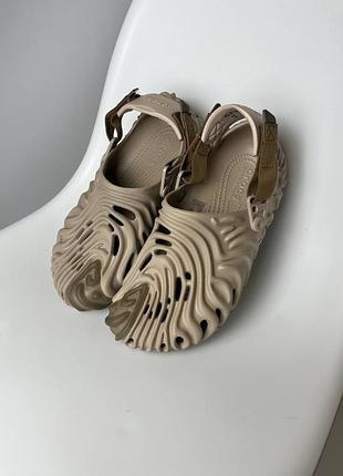 Crocs pollex