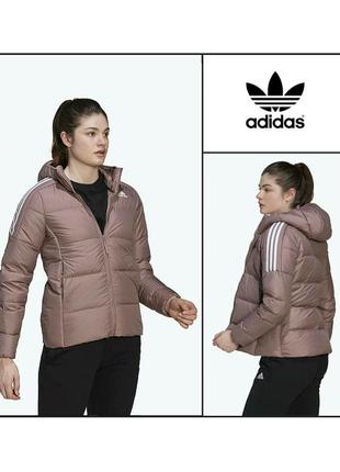 Куртка пуффер xs-s adidas утеплена водовідштовхувальна демісезонна зимова жіноча фіолетова бузкова пудра бомбер пуховик жіночий фіолетовий утеплений