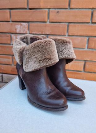 Женские зимние кожаные сапожки ugg High на каблуке на натуральном меху 38 размер коричневые женккие сапожки на кольца