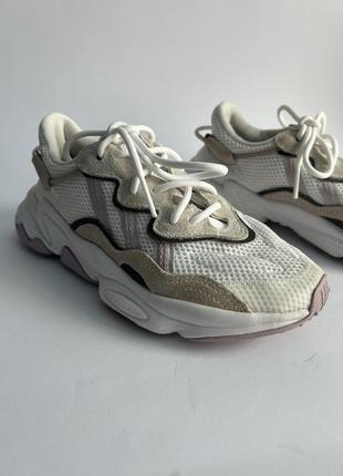 Жіночі кросівки від adidas