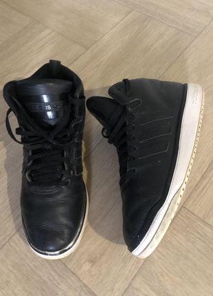 Кросівки adidas