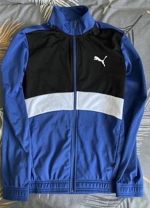 Олимпийка puma