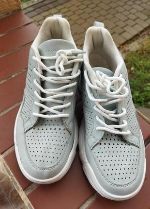 Кросівки черевики