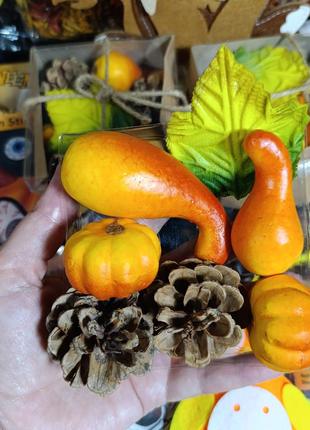 Набор декоративных овощей тыквы шишка