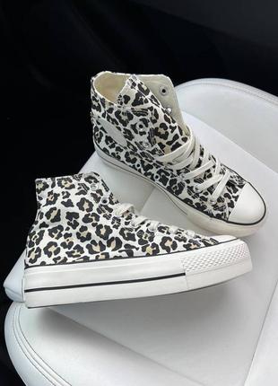 Кеди converse leopard